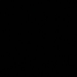 Meet your Posher, Hayden